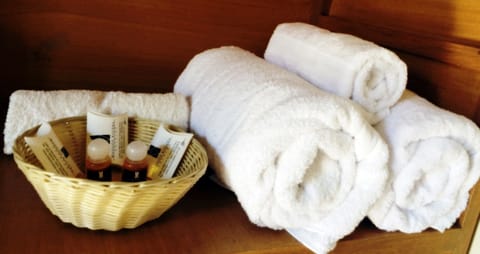 Junior Suite | Bathroom | Shower, free toiletries, towels