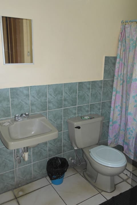 Basic Twin Room, 2 Twin Beds | Bathroom | Shower, free toiletries, towels