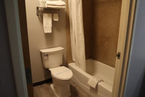 Combined shower/tub, free toiletries, hair dryer, towels