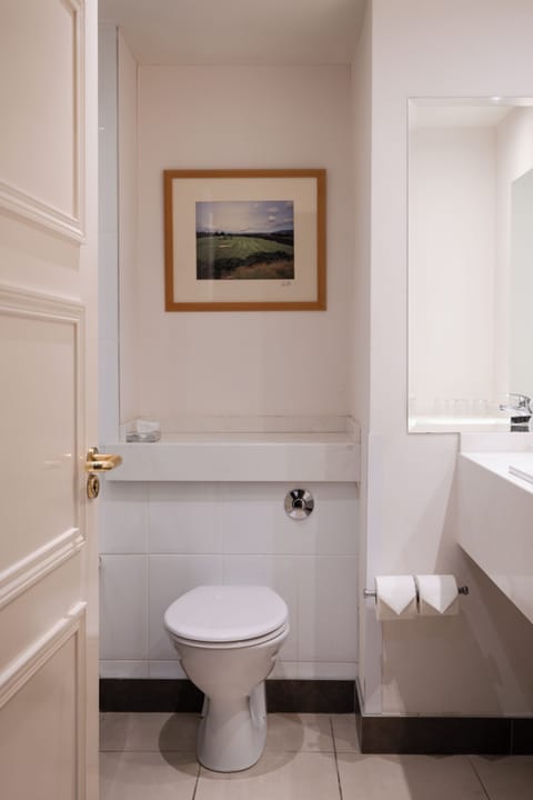 Combined shower/tub, free toiletries, hair dryer, towels