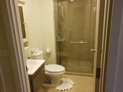 Standard Room (Without Kitchen) | Bathroom | Shower, free toiletries, hair dryer, towels
