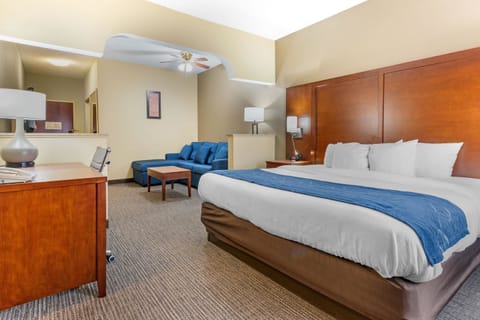 Deluxe Suite, 1 King Bed, Non Smoking | Down comforters, desk, blackout drapes, iron/ironing board