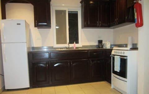 Deluxe Apartment | Private kitchen | Full-size fridge, microwave, oven, stovetop