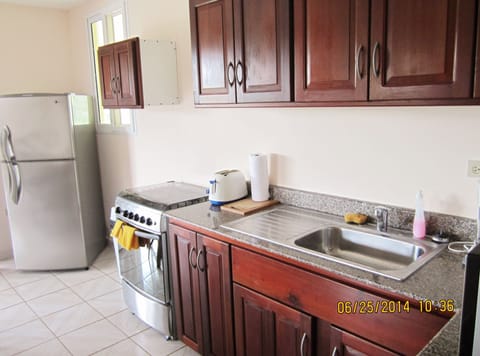 Deluxe Apartment | Private kitchen | Full-size fridge, microwave, oven, stovetop