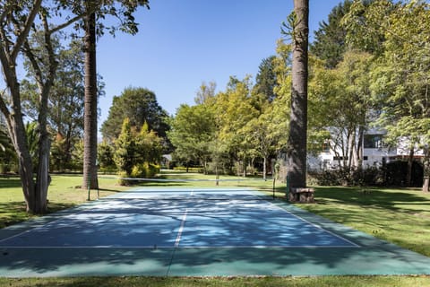 Sport court