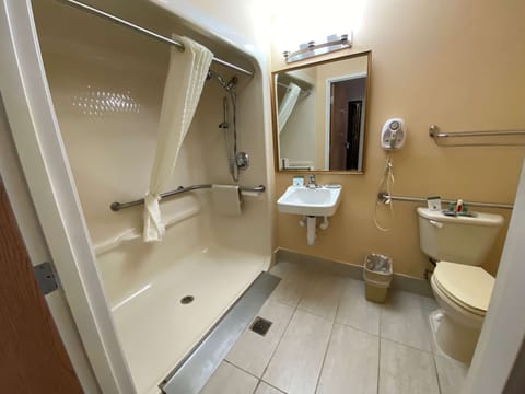Standard Room, 1 Queen Bed, Accessible, Non Smoking | Bathroom | Combined shower/tub, free toiletries, hair dryer, towels