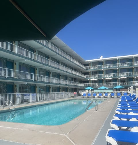 Outdoor pool, sun loungers