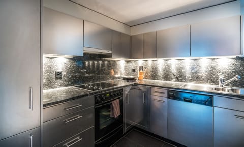 City Apartment, Multiple Bedrooms, Non Smoking, City View | Private kitchen | Full-size fridge, oven, stovetop, dishwasher