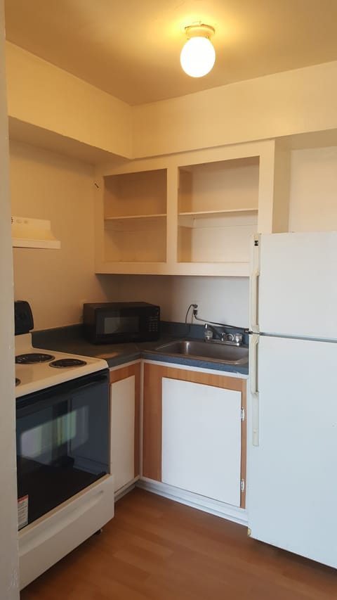 Standard Apartment, 2 Bedrooms, Kitchen | Private kitchen | Fridge, microwave