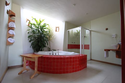 Superior Single Room, 1 King Bed, Jetted Tub | Bathroom | Shower, free toiletries, hair dryer, towels