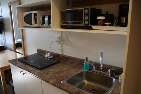 Fridge, microwave, electric kettle, ice maker