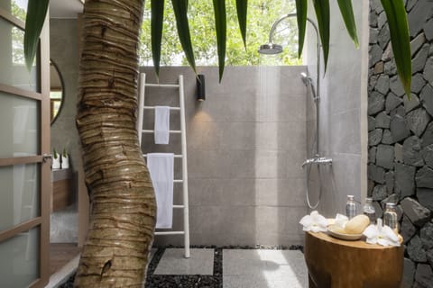 Jacuzzi Pool Suite | Bathroom | Separate tub and shower, deep soaking tub, rainfall showerhead