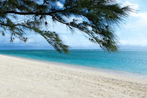 On the beach, white sand, sun loungers, beach umbrellas