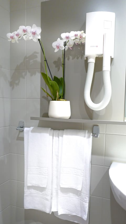 Combined shower/tub, free toiletries, towels