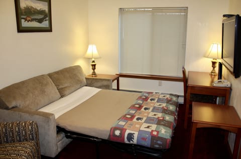 Suite, 1 Queen Bed | Room amenity