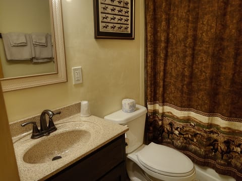 Family Suite | Bathroom | Shower, towels