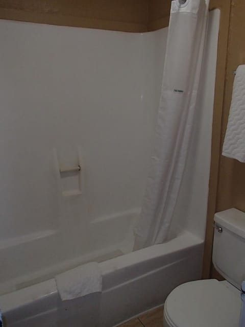 Combined shower/tub, free toiletries, hair dryer, towels