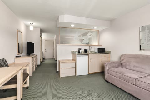 Suite, 1 King Bed, Non Smoking (Efficiency) | Desk, blackout drapes, iron/ironing board, free WiFi