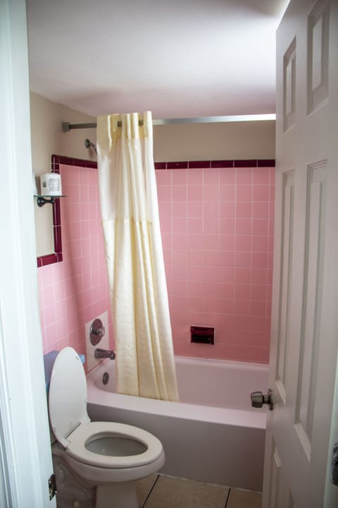 Deluxe Room, 1 King Bed, Kitchenette | Bathroom | Combined shower/tub, free toiletries, hair dryer, towels