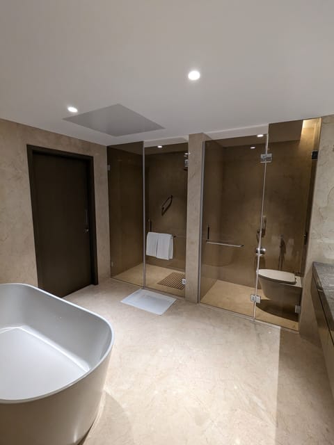 Suite | Bathroom | Rainfall showerhead, free toiletries, hair dryer, bathrobes