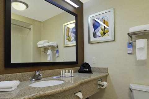 Standard Room, Multiple Beds, Non Smoking | Bathroom | Free toiletries, hair dryer, towels, soap