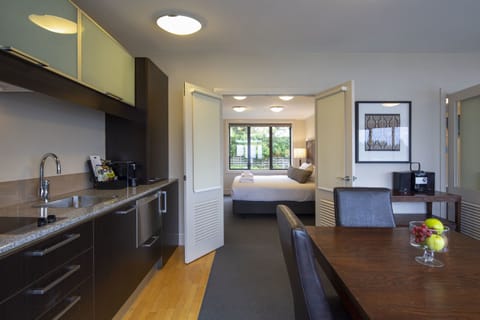 2 Bedroom Lakeview Suite | Desk, laptop workspace, iron/ironing board, free WiFi