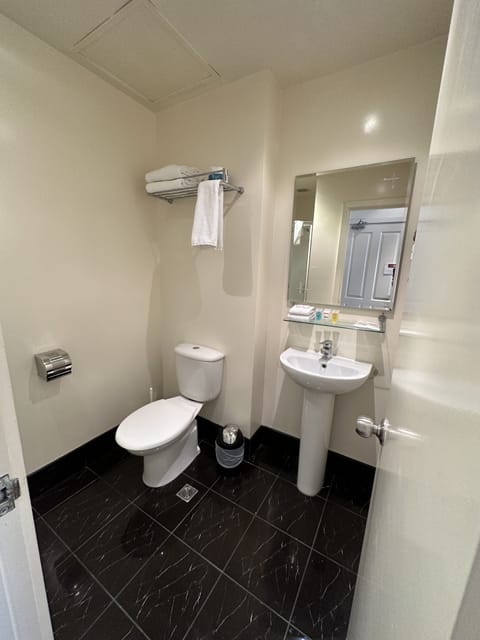 Premium King Split Room | Bathroom | Shower, free toiletries, hair dryer, towels