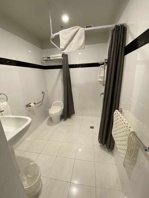 Deluxe Queen | Bathroom | Shower, free toiletries, hair dryer, towels