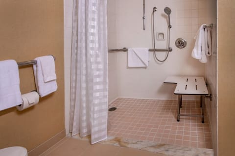 Combined shower/tub, free toiletries, hair dryer, towels