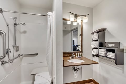 Studio Suite, 1 King Bed, Accessible, Non Smoking (Roll-in Shower) | Bathroom | Combined shower/tub, rainfall showerhead, free toiletries, hair dryer