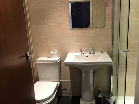 Superior Double Room | Bathroom | Shower, free toiletries, hair dryer, towels