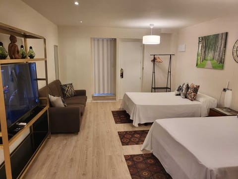 Family Studio Suite | In-room safe, desk, free WiFi, bed sheets