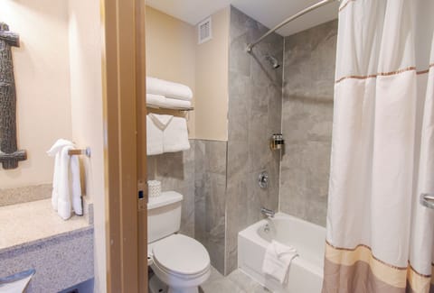 Combined shower/tub, free toiletries, hair dryer, towels