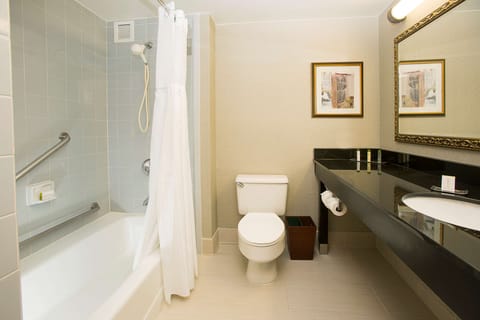 Combined shower/tub, free toiletries, hair dryer, towels