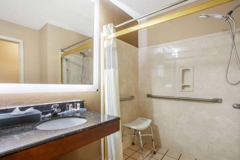 Room, 1 King Bed, Accessible (Mobility/Hearing Impaired Accessible) | Bathroom shower