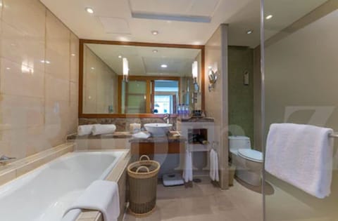 Executive Suite | Bathroom | Combined shower/tub, deep soaking tub, rainfall showerhead