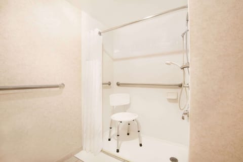 Room, 1 Queen Bed, Accessible, Non Smoking | Bathroom | Combined shower/tub, free toiletries, hair dryer, towels