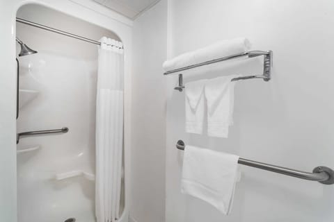 Room, Accessible, Non Smoking | Bathroom shower