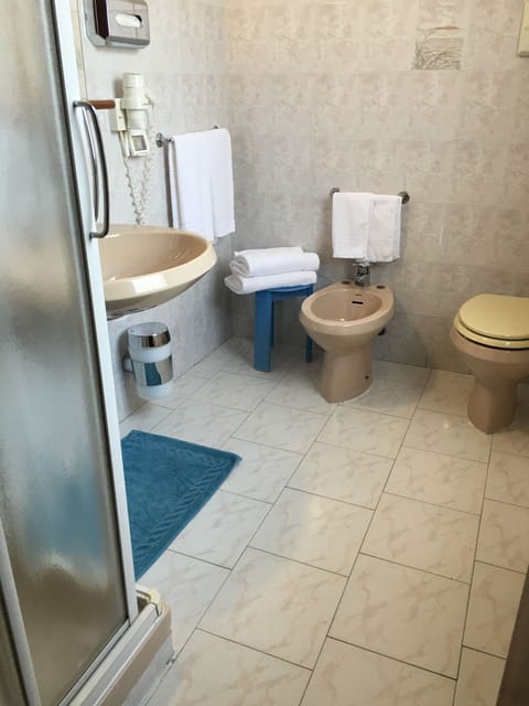 Shower, free toiletries, hair dryer, bidet