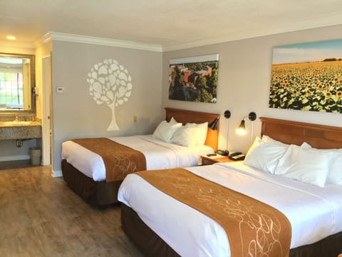 Standard Room, 2 Queen Beds, Non Smoking | Premium bedding, desk, laptop workspace, free WiFi