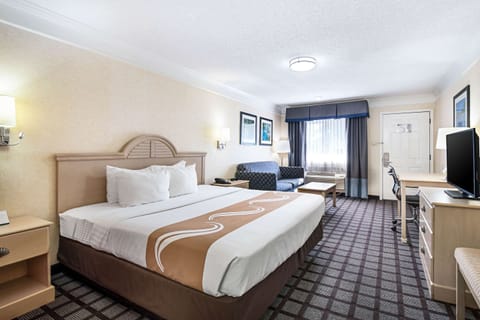 Standard Suite, 1 King Bed, Non Smoking | Premium bedding, down comforters, in-room safe, individually furnished