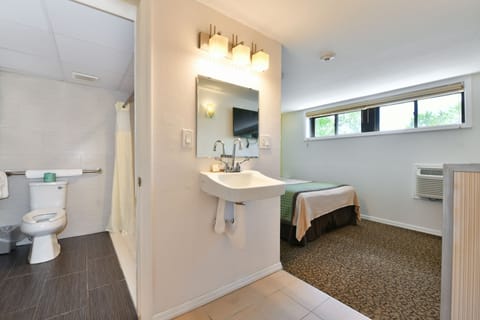 Standard Room, 1 Queen Bed, Accessible | Bathroom | Combined shower/tub, free toiletries, hair dryer, towels