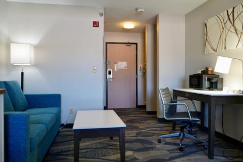 Efficiency Suite King Non Smoking 1 person Sofa bed | Premium bedding, desk, blackout drapes, soundproofing