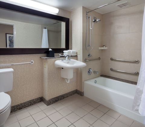 Combined shower/tub, free toiletries, hair dryer, towels