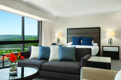 Suite, 1 King Bed (Hyatt) | Premium bedding, down comforters, in-room safe, desk