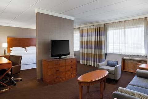 Suite, 1 King Bed with Sofa bed | Living area | 42-inch TV with cable channels