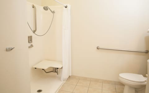 Combined shower/tub, free toiletries, hair dryer, towels