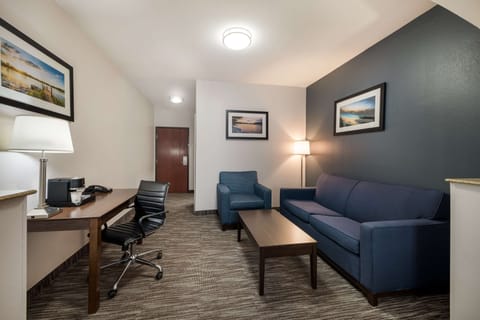 Suite, 1 King Bed, Non Smoking, Refrigerator & Microwave (with Sofabed) | In-room safe, desk, laptop workspace, blackout drapes