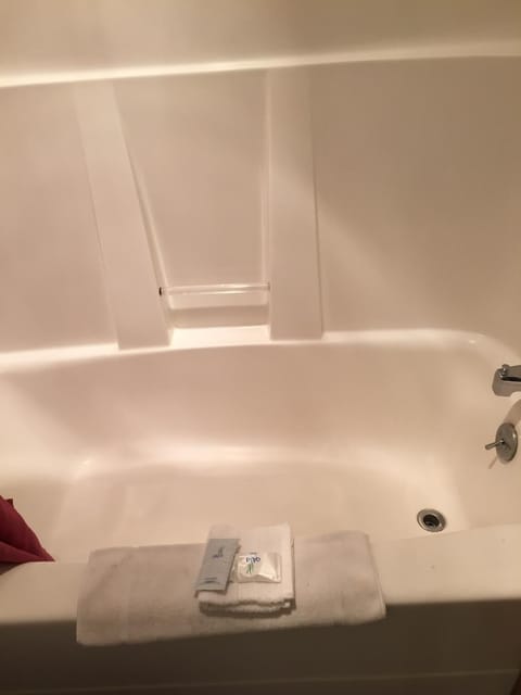 Combined shower/tub, free toiletries, hair dryer, towels