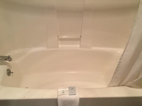 Combined shower/tub, free toiletries, hair dryer, towels